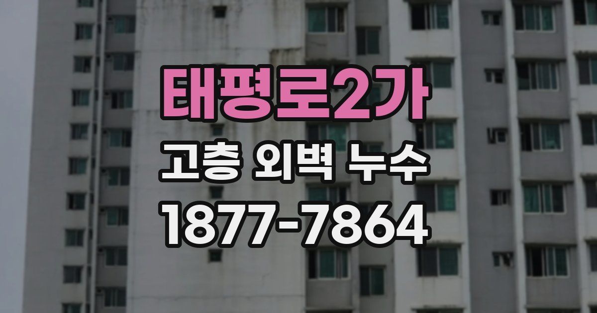 태평로2가 고층 외벽 누수