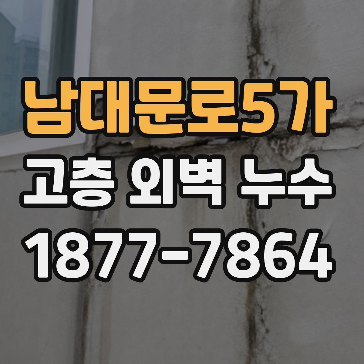 남대문로5가 고층 외벽 누수