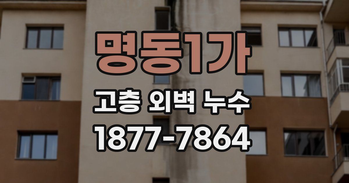 명동1가 고층 외벽 누수