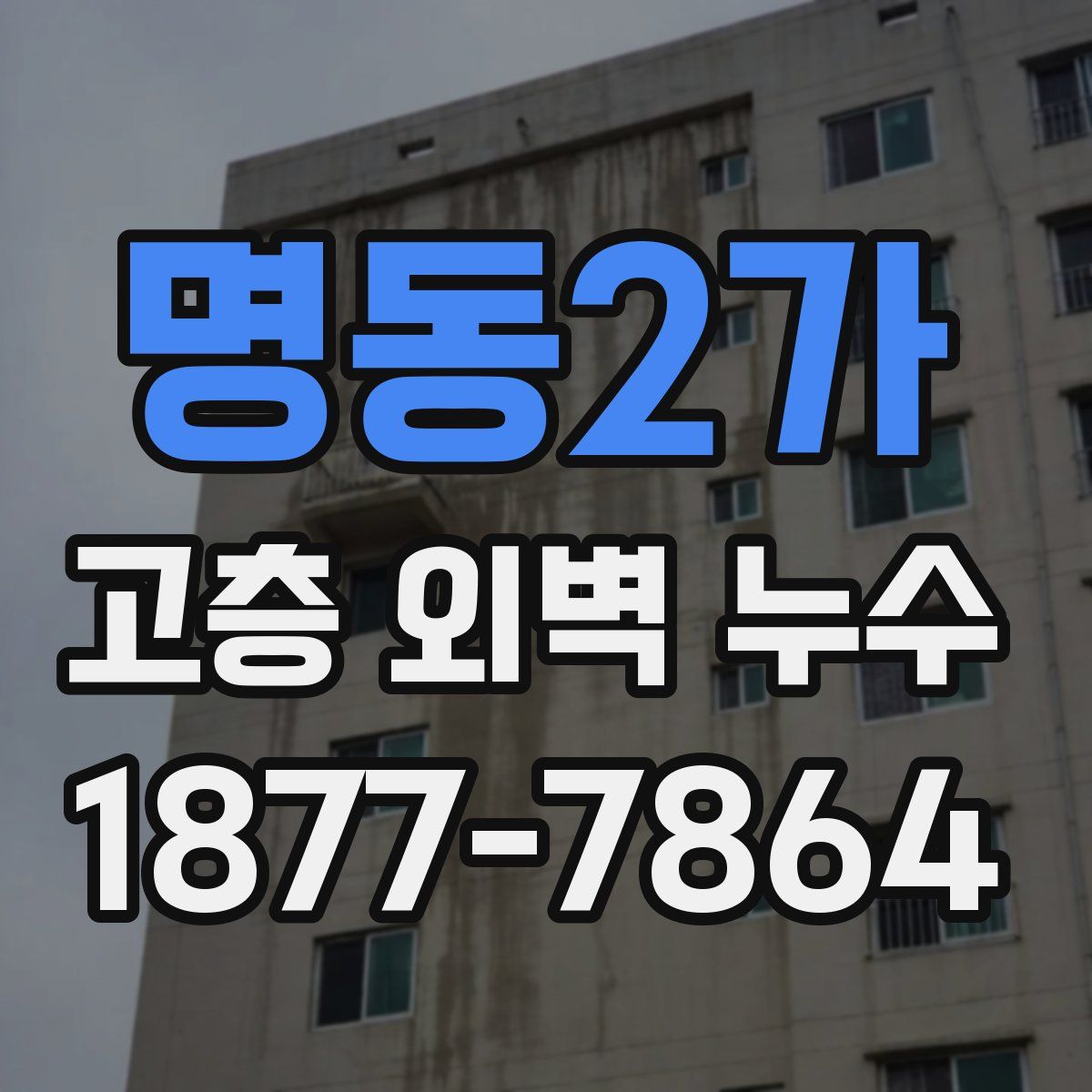 명동2가 고층 외벽 누수