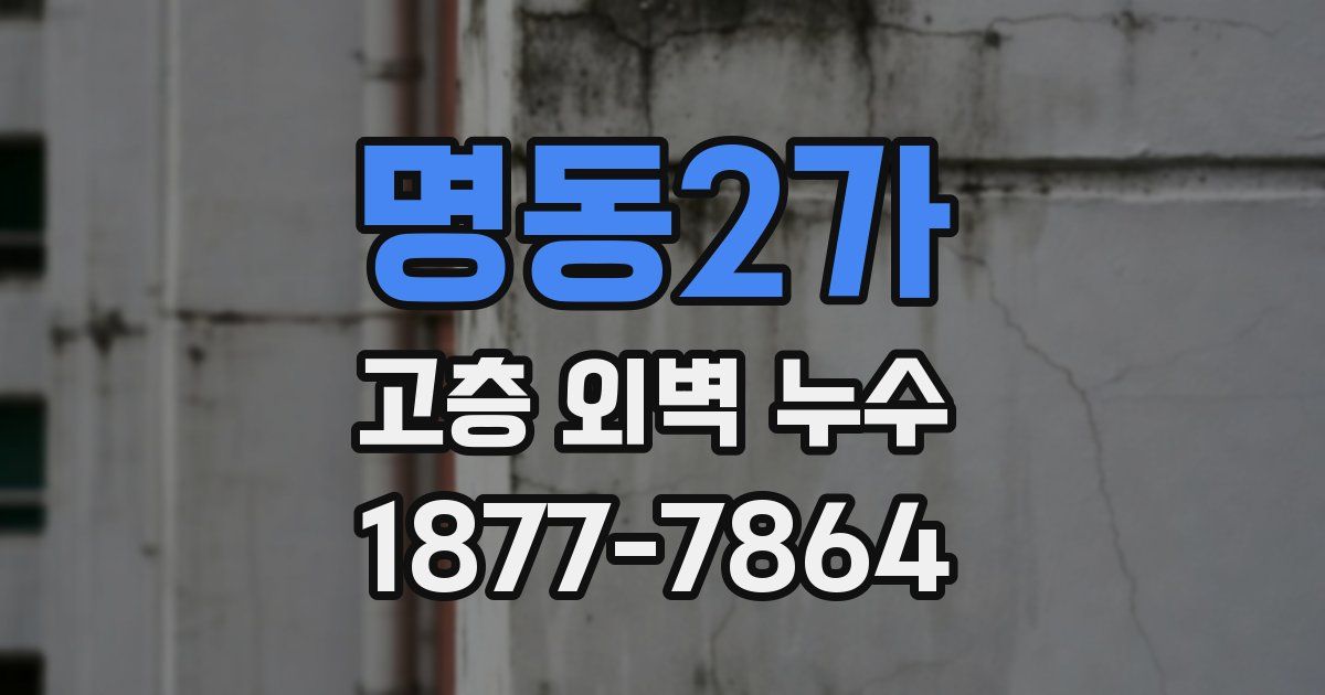 명동2가 고층 외벽 누수