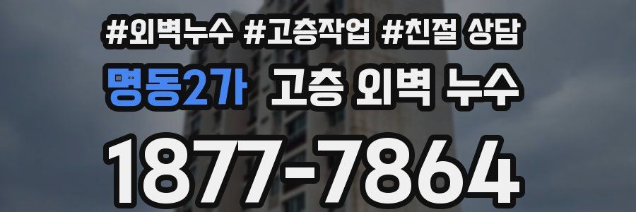 명동2가 고층 외벽 누수
