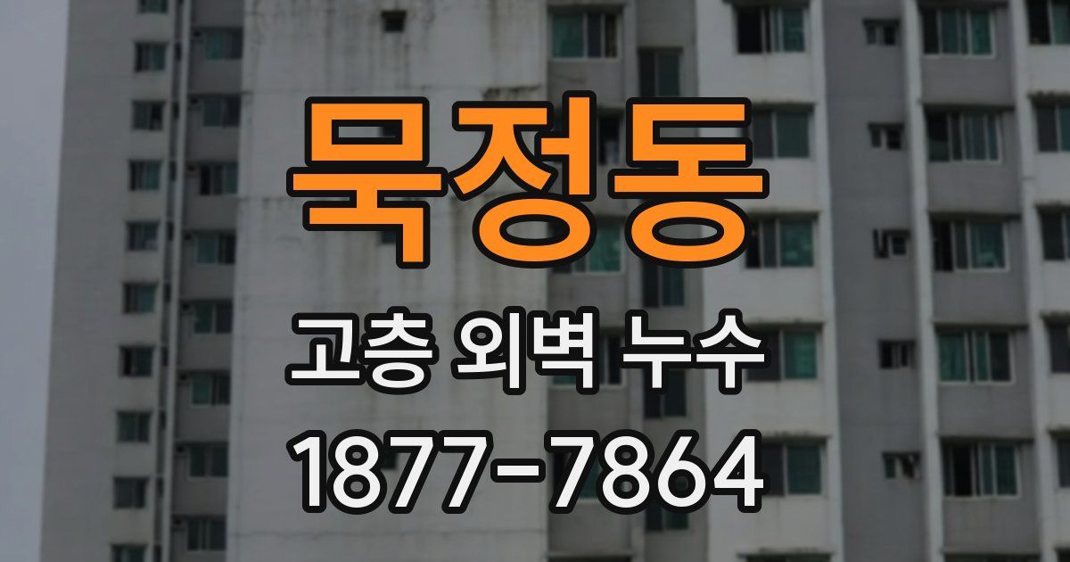 묵정동 고층 외벽 누수