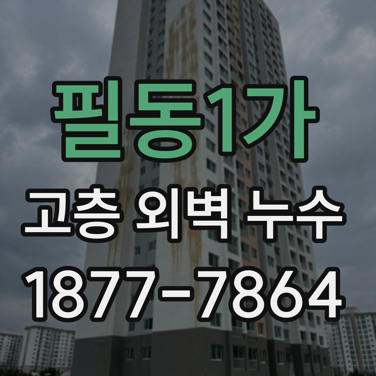 필동1가 고층 외벽 누수