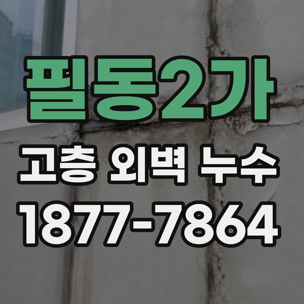 필동2가 고층 외벽 누수