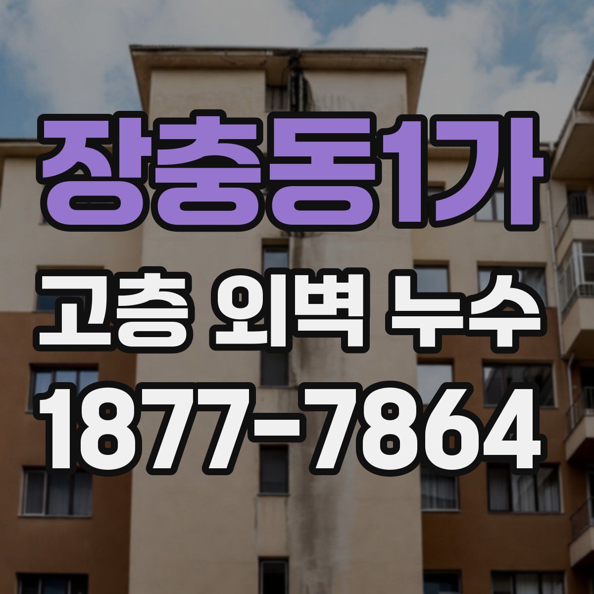 장충동1가 고층 외벽 누수