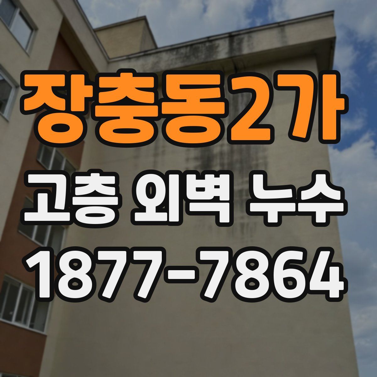 장충동2가 고층 외벽 누수