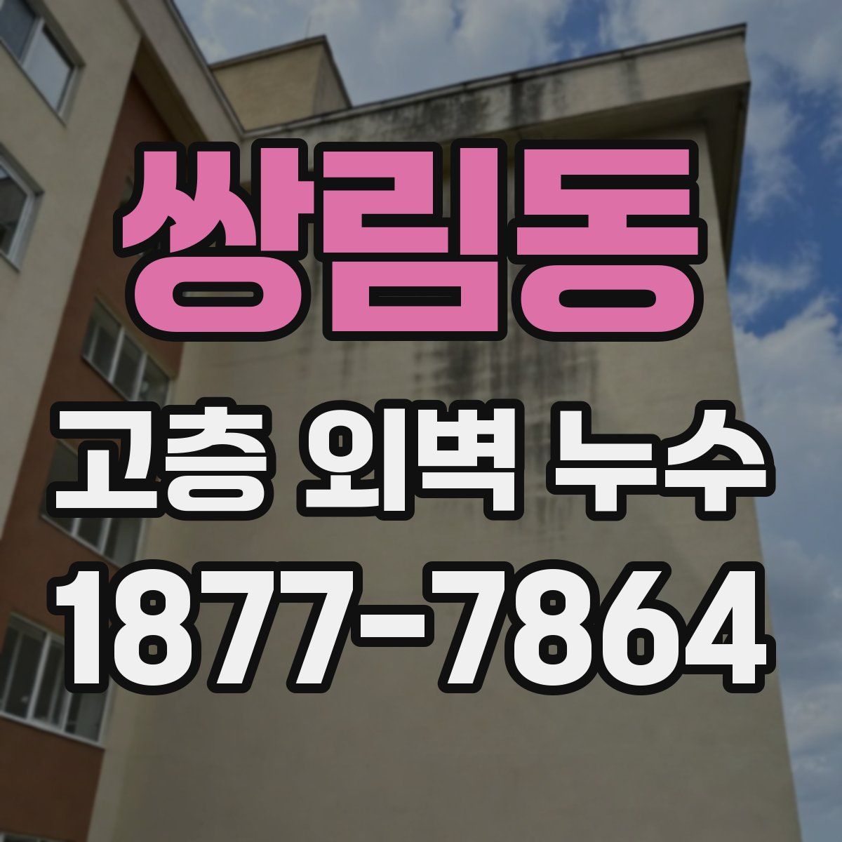 쌍림동 고층 외벽 누수