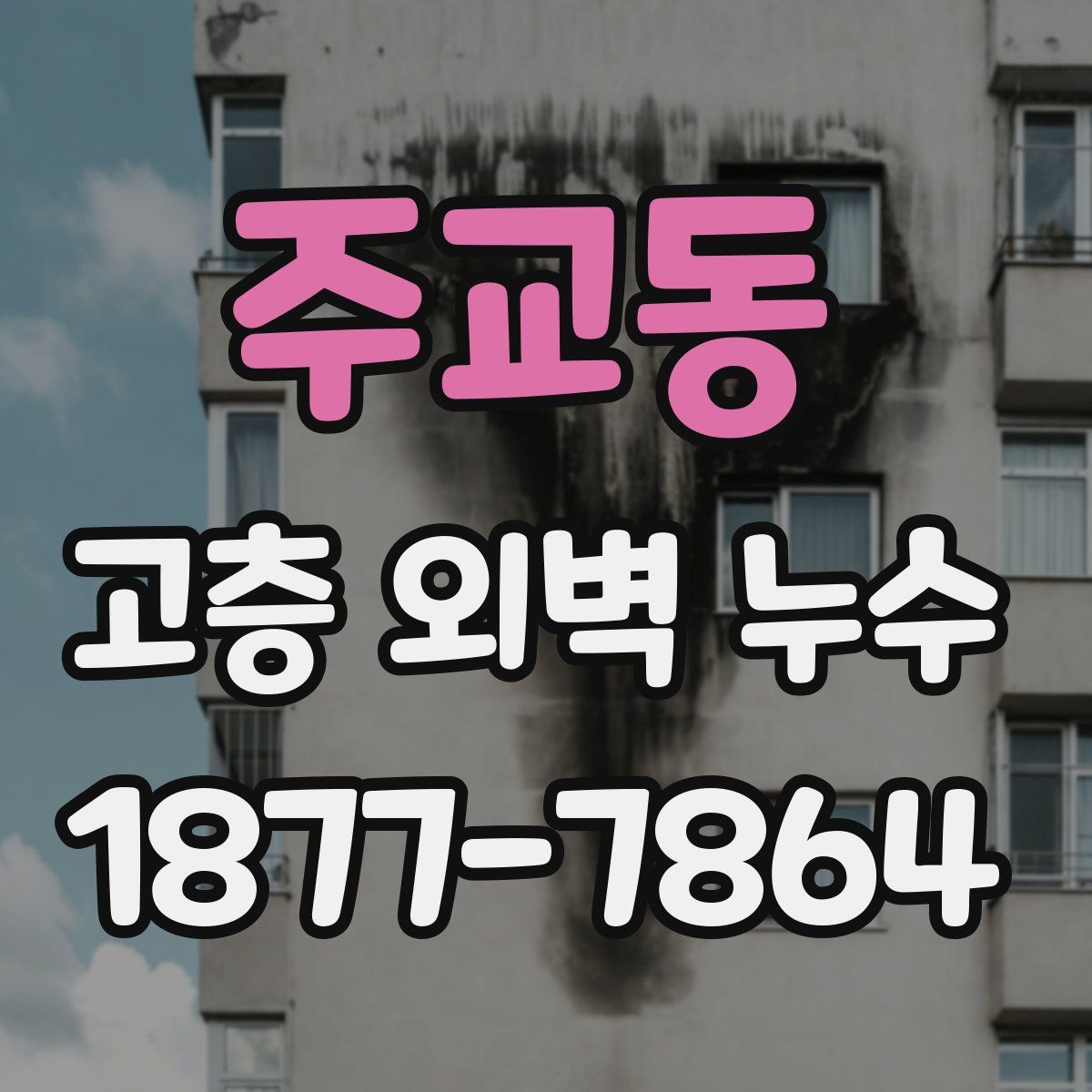 주교동 고층 외벽 누수