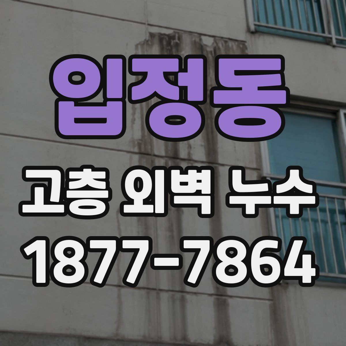 입정동 고층 외벽 누수