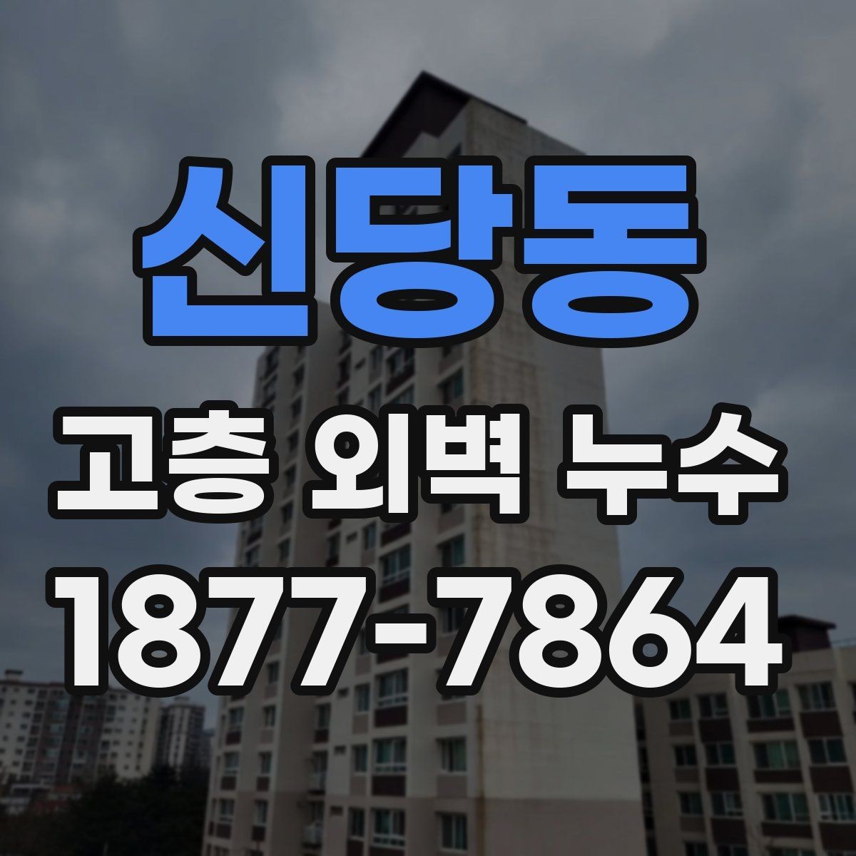 신당동 고층 외벽 누수 보수 대상 구역는 어디까지일까