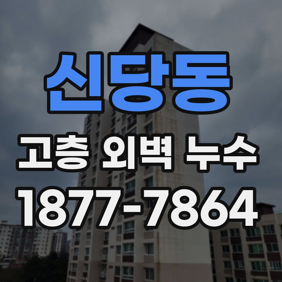 신당동 고층 외벽 누수
