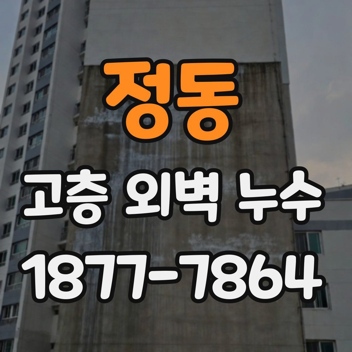 정동 고층 외벽 누수