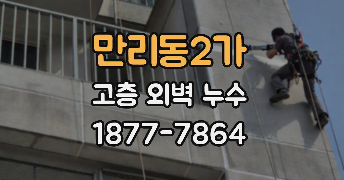 만리동2가 고층 외벽 누수