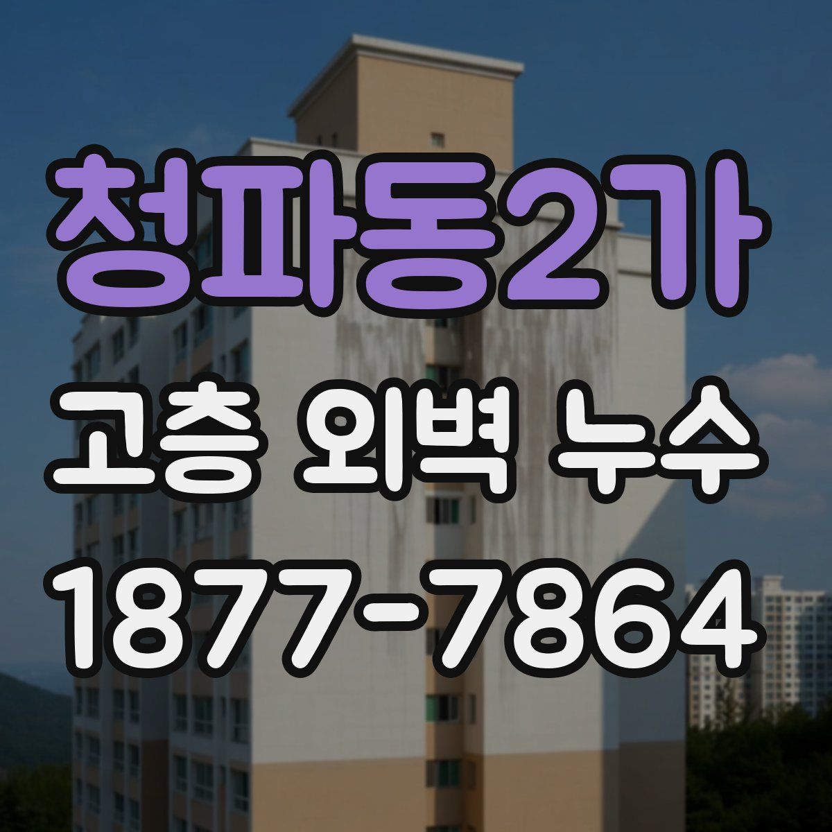 청파동2가 고층 외벽 누수