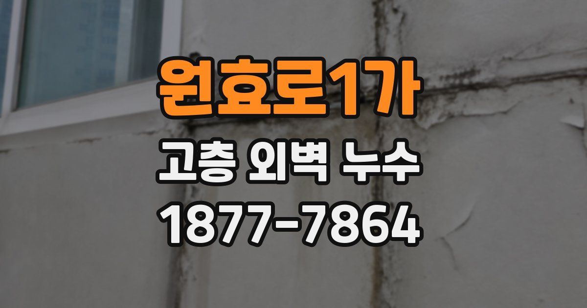 원효로1가 고층 외벽 누수