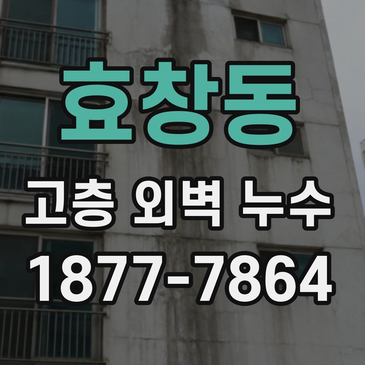 효창동 고층 외벽 누수