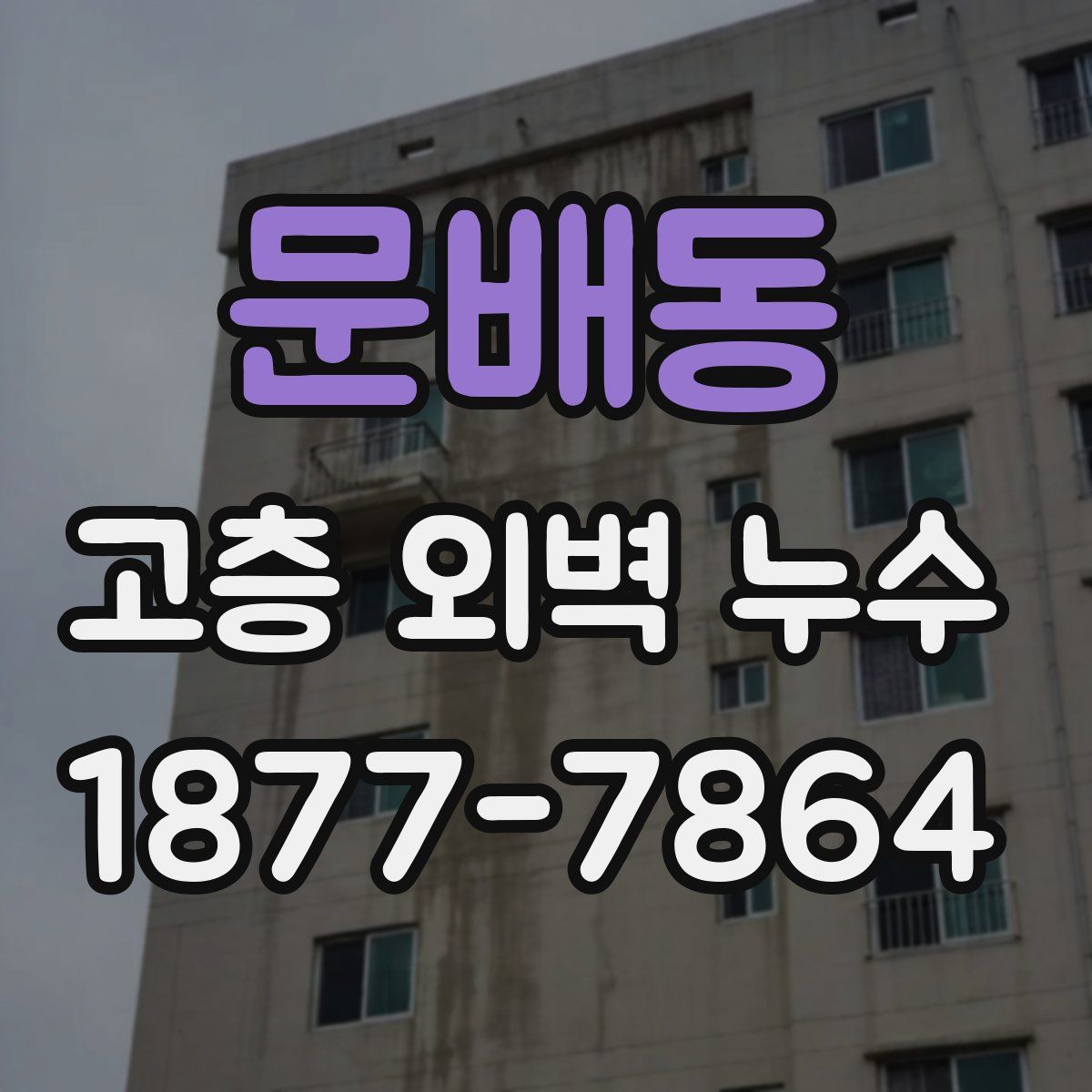 문배동 고층 외벽 누수