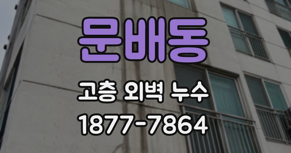 문배동 고층 외벽 누수