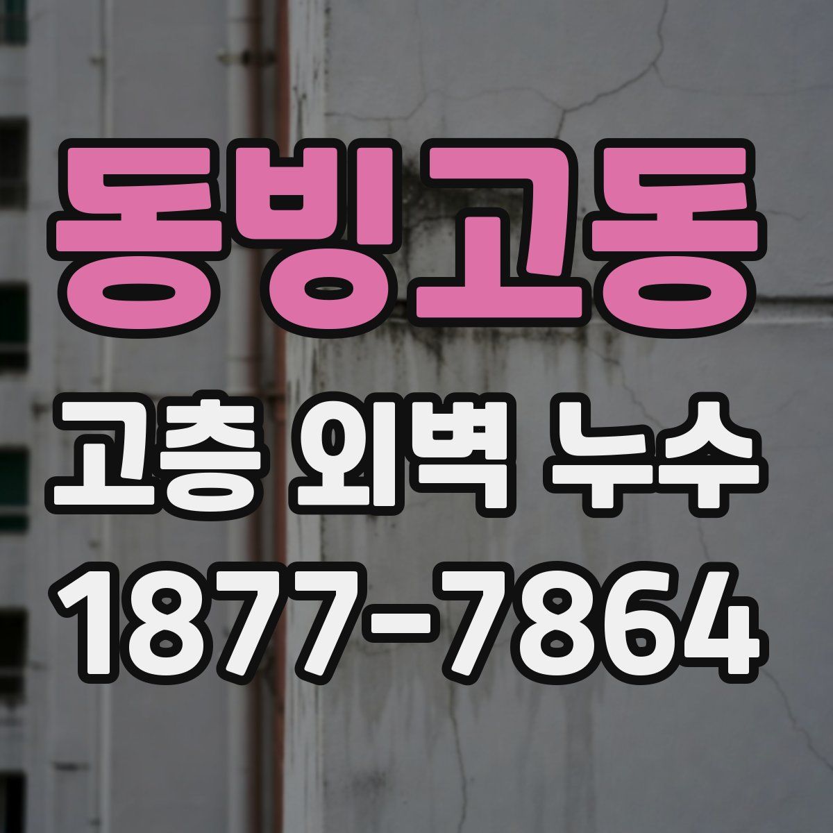 동빙고동 고층 외벽 누수