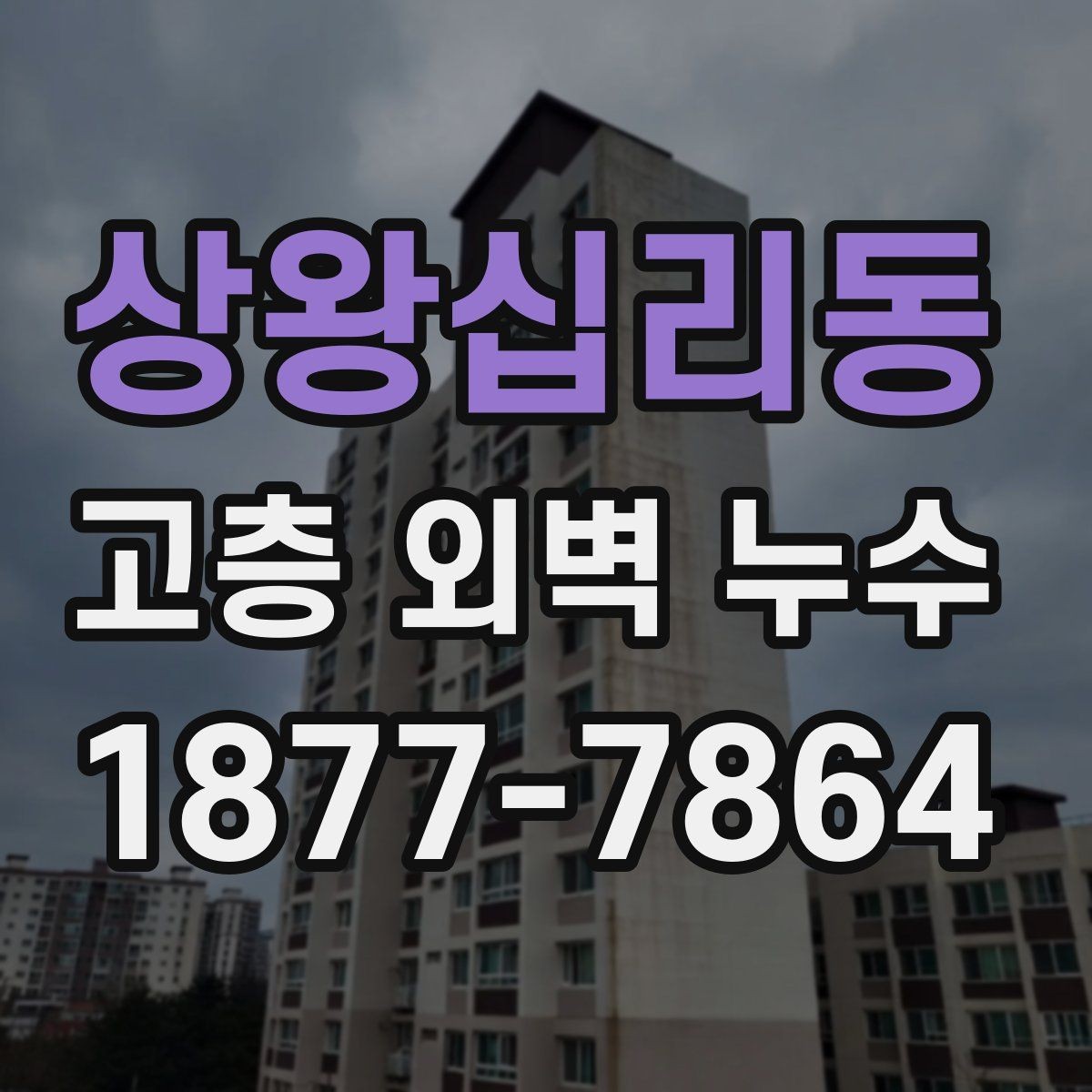 상왕십리동 고층 외벽 누수 해결을 위한 현장 진단 과정
