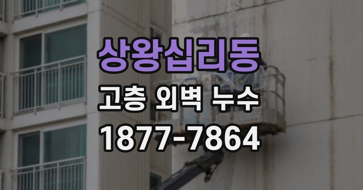 상왕십리동 고층 외벽 누수