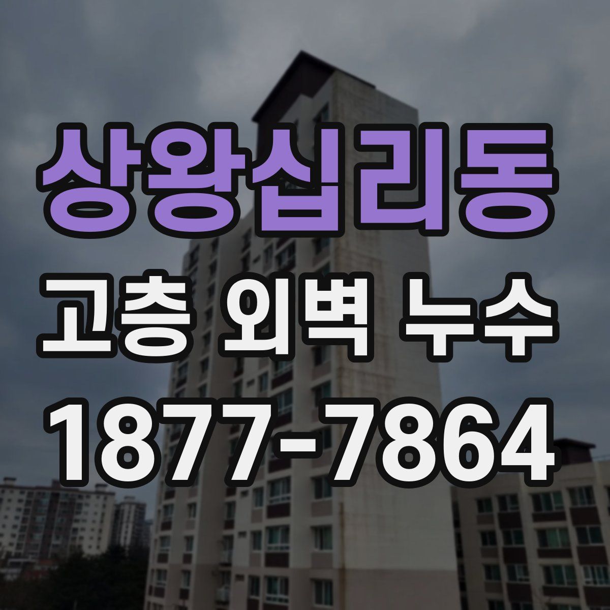 상왕십리동 고층 외벽 누수