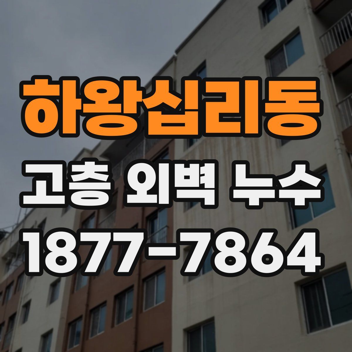 하왕십리동 고층 외벽 누수