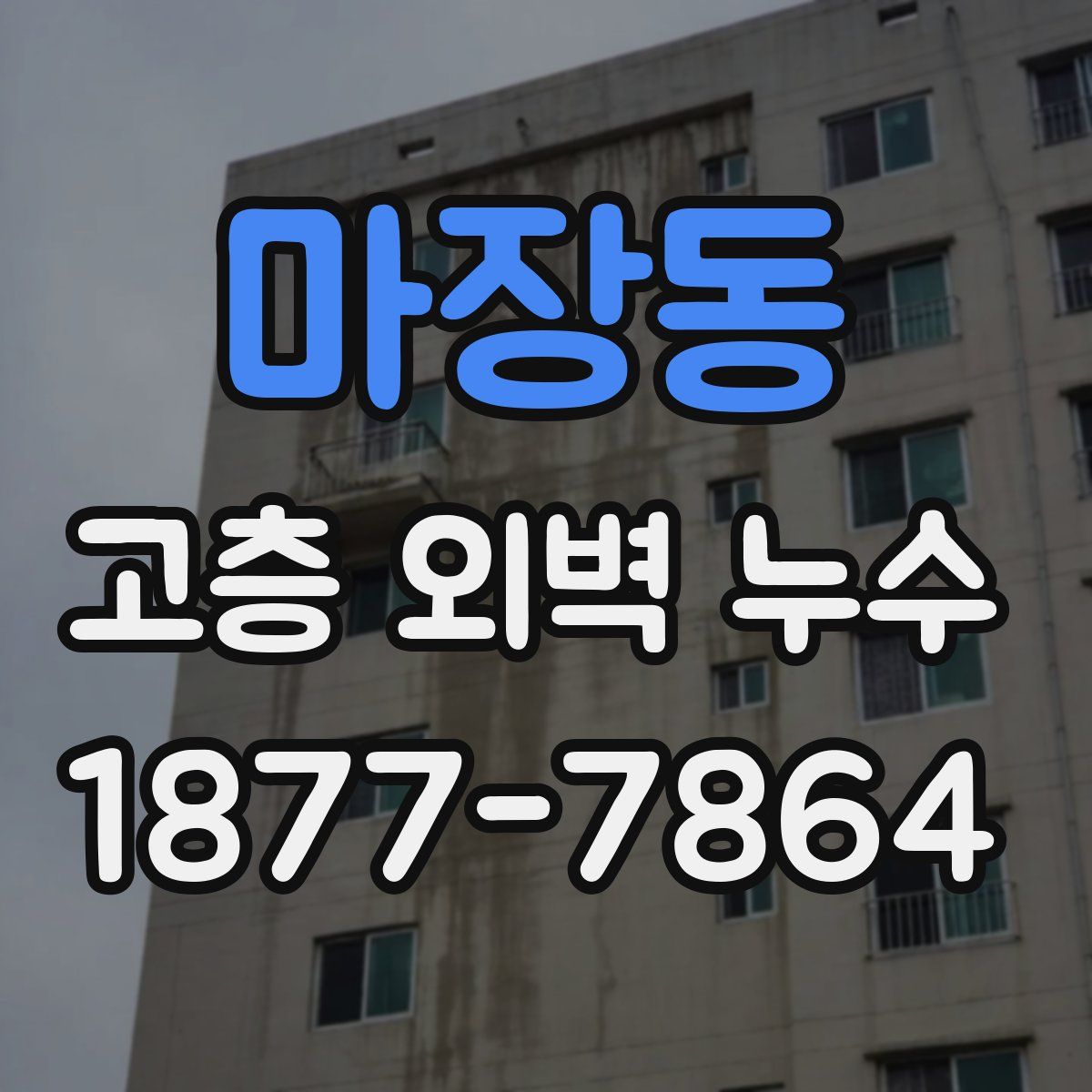마장동 고층 외벽 누수