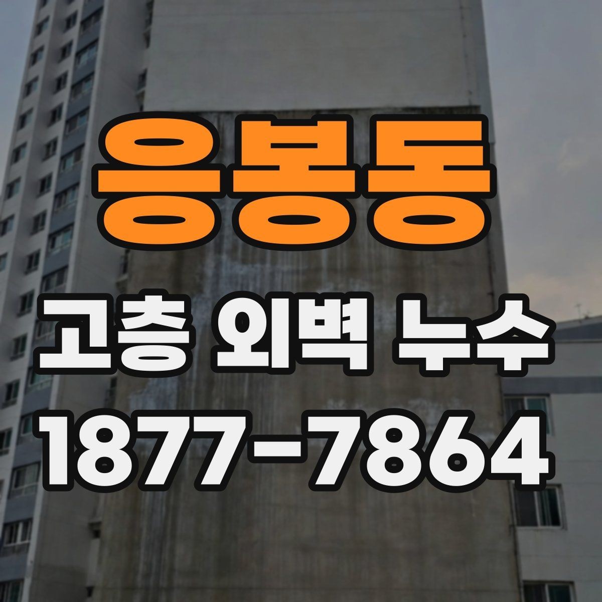 응봉동 고층 외벽 누수 원인을 줄이기 위한 사전 점검
