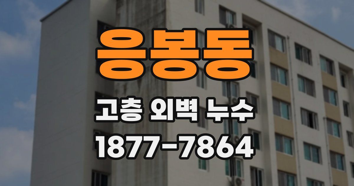 응봉동 고층 외벽 누수