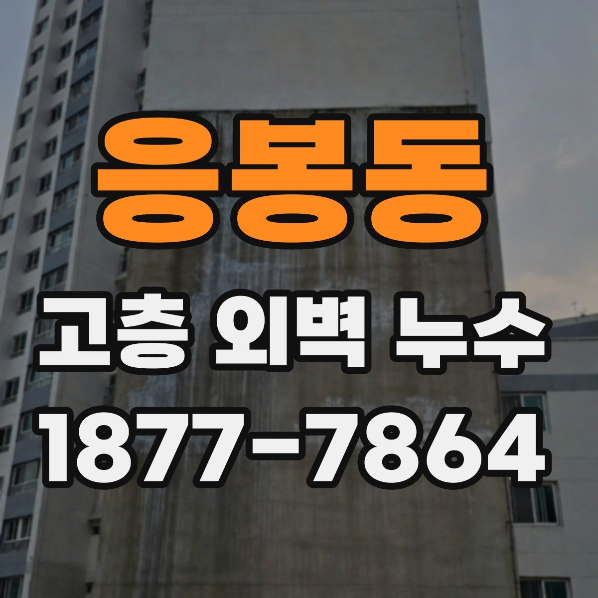 응봉동 고층 외벽 누수