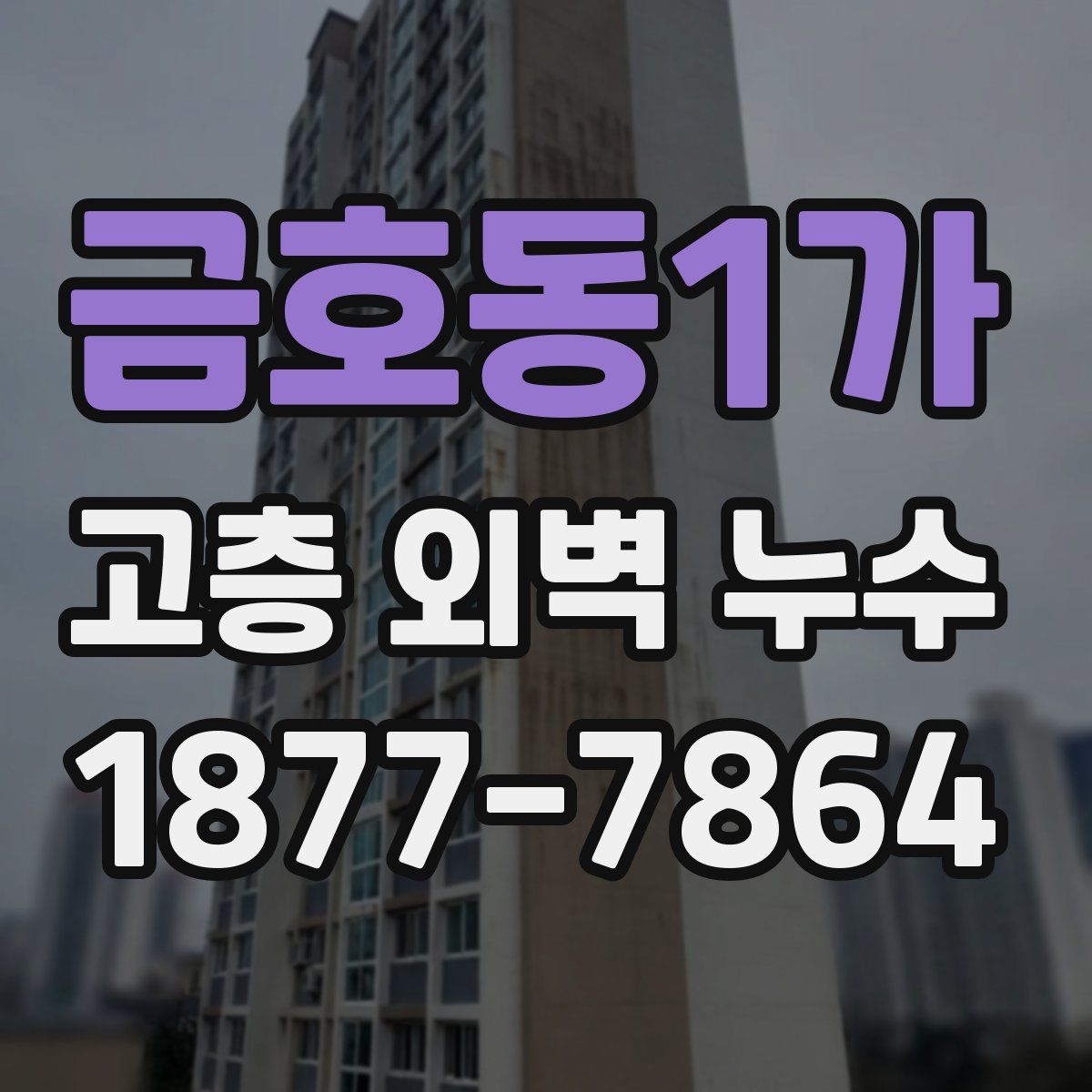 금호동1가 고층 외벽 누수