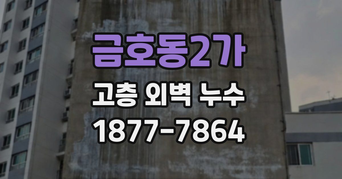 금호동2가 고층 외벽 누수