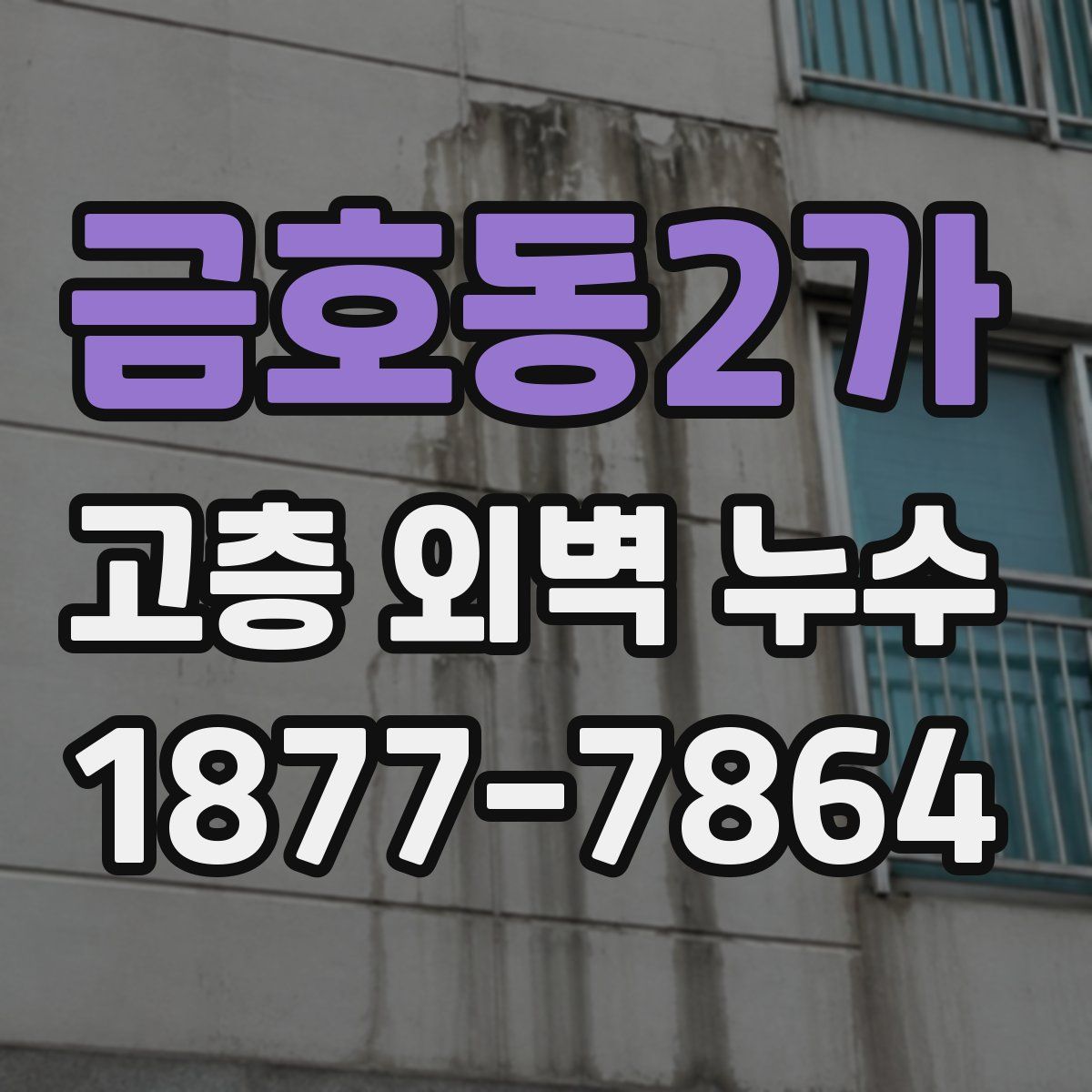금호동2가 고층 외벽 누수