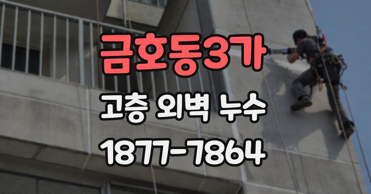 금호동3가 고층 외벽 누수