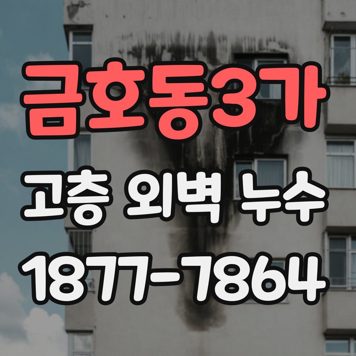 금호동3가 고층 외벽 누수