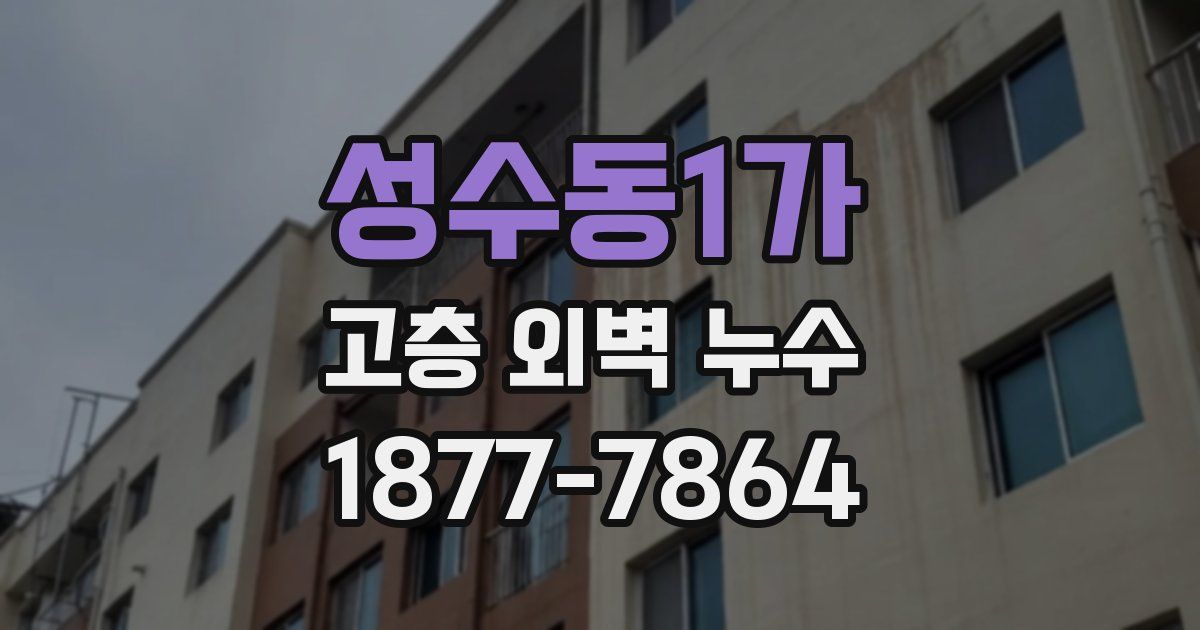 성수동1가 고층 외벽 누수