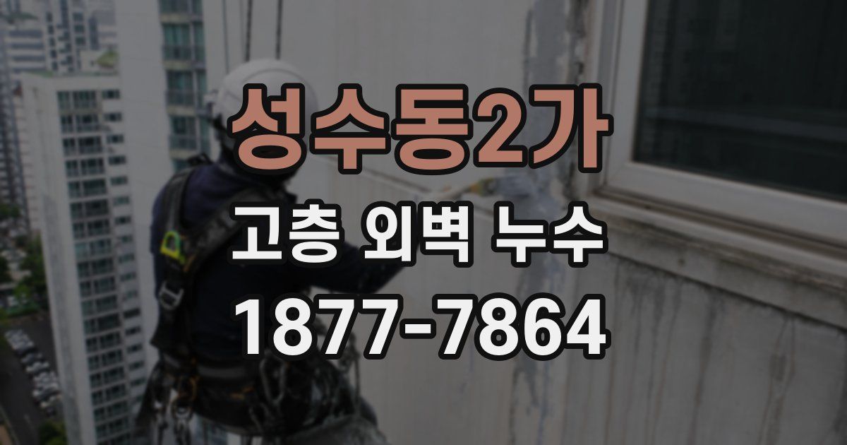 성수동2가 고층 외벽 누수