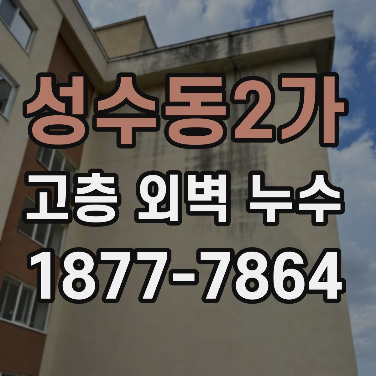 성수동2가 고층 외벽 누수