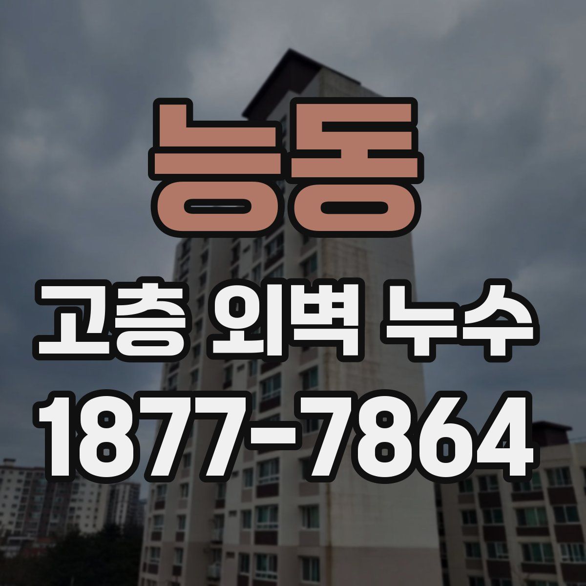 능동 고층 외벽 누수