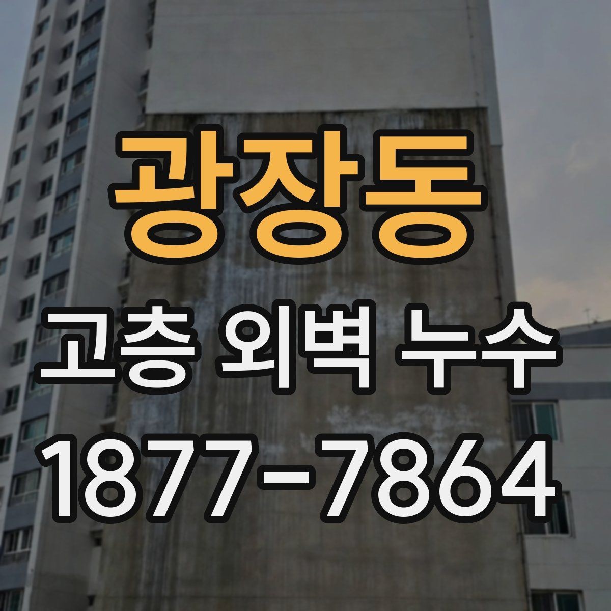 광장동 고층 외벽 누수 외벽 점검 주기를 어떻게 잡을까
