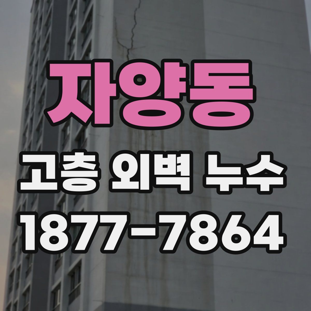 자양동 고층 외벽 누수