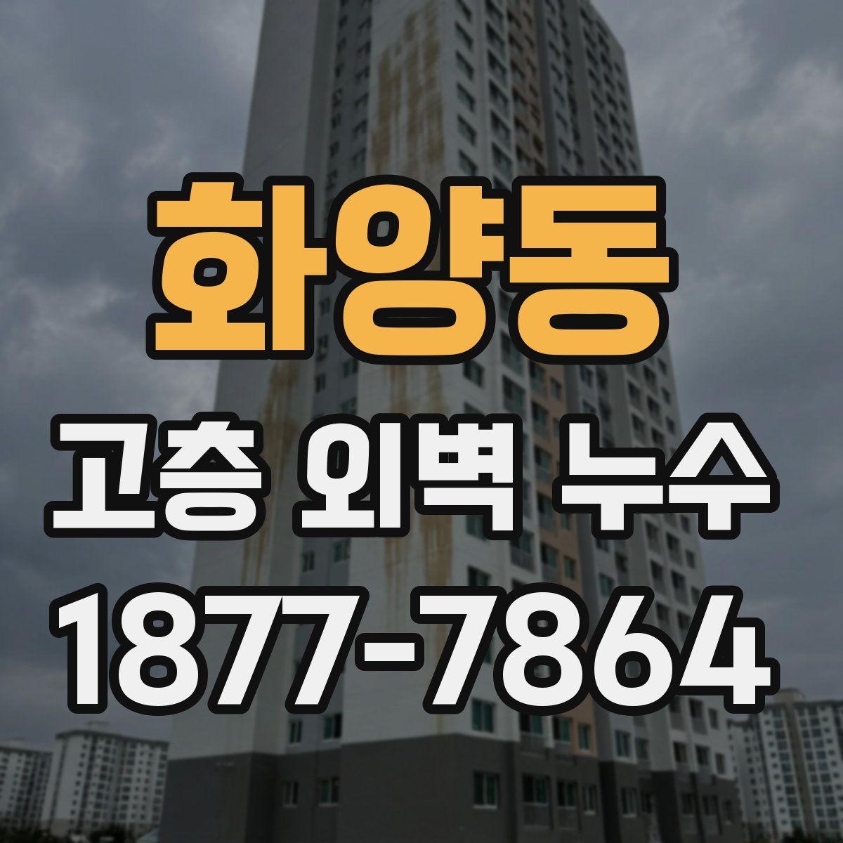 화양동 고층 외벽 누수