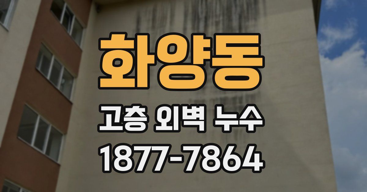 화양동 고층 외벽 누수