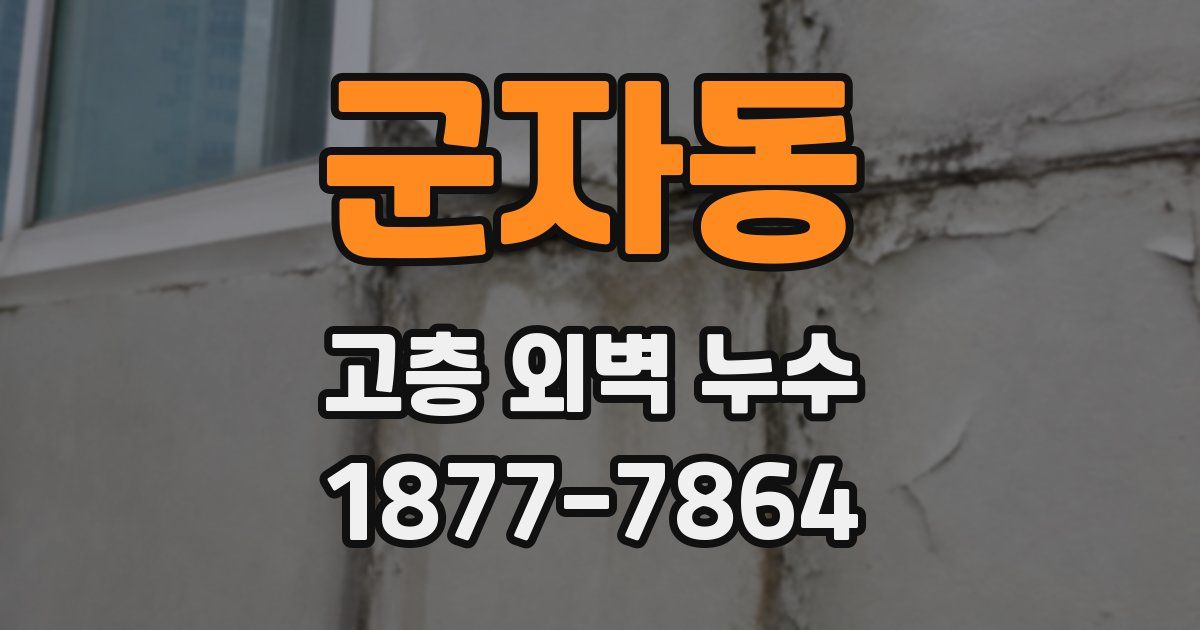 군자동 고층 외벽 누수