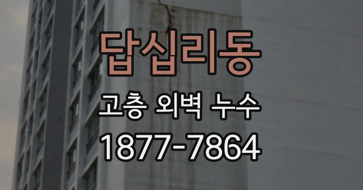 답십리동 고층 외벽 누수