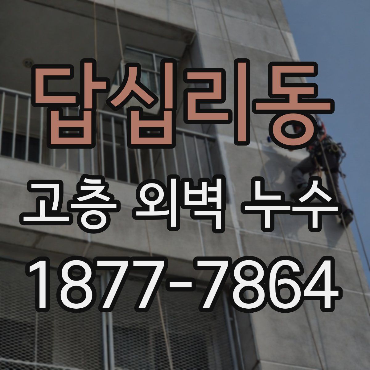 답십리동 고층 외벽 누수