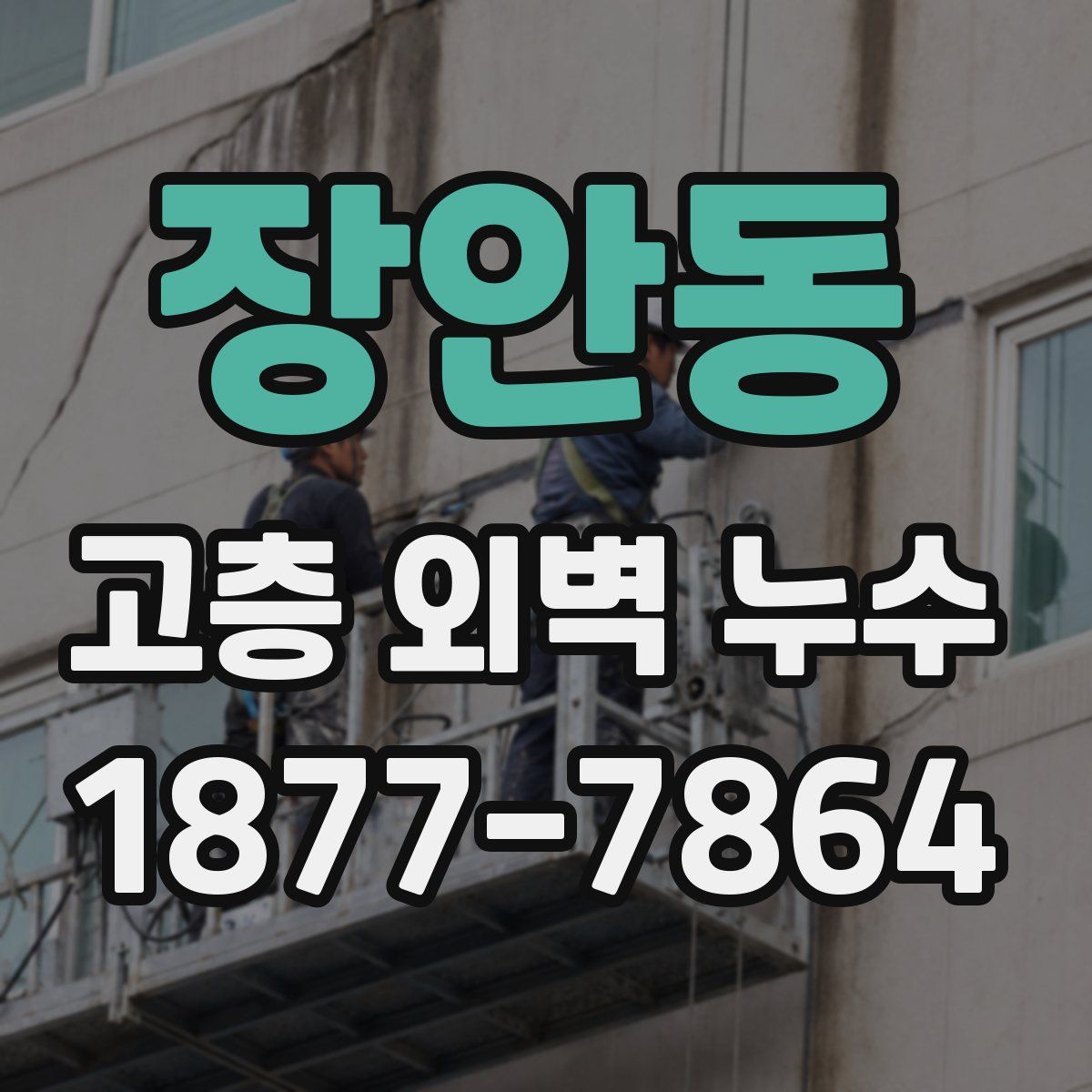 장안동 고층 외벽 누수
