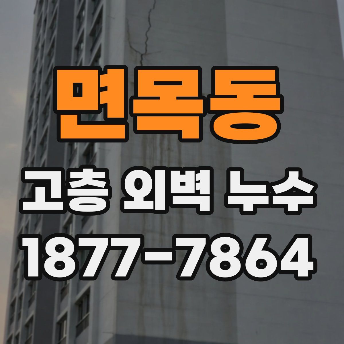 면목동 고층 외벽 누수